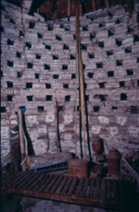 A dovecote at Yatton, Somerset