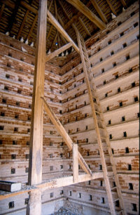 Revolving ladder
