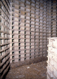 A dovecote at Shapwick, Somerset